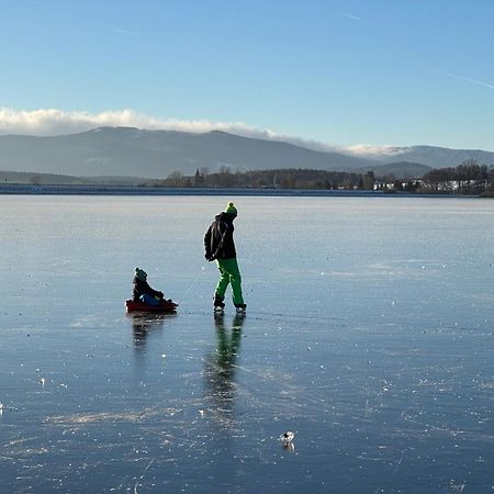 Unique Lipno Apartment Černá v Pošumaví Eksteriør bilde
